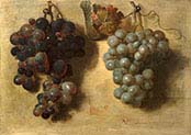Two Clusters of Grapes